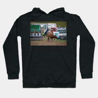 RODEOS, HORSES, COWBOYS Hoodie